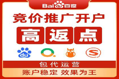 某电商平台的SEM广告投放全流程解析